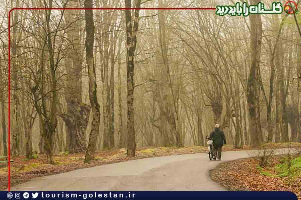 النگدره - گرگان