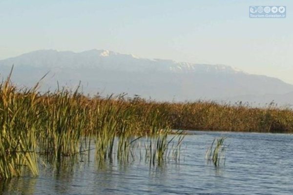 تالاب بین‌المللی گنبدکاووس