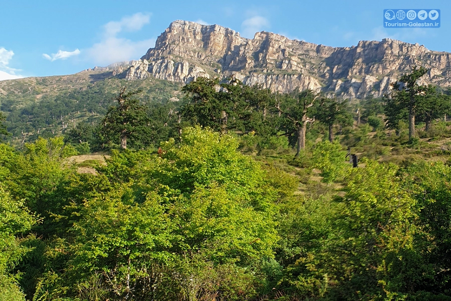 دشت سوس - توسکستان - گرگان