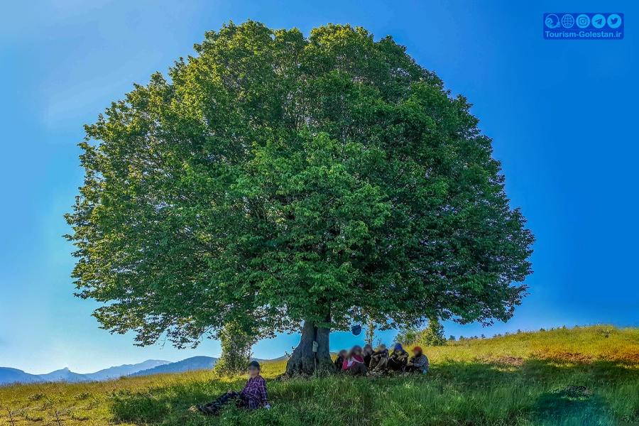 دشت سوس - توسکستان - گرگان