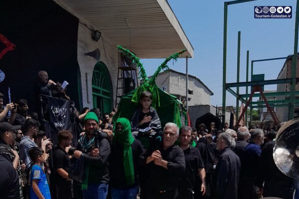 آیین عزاداری نخل پا