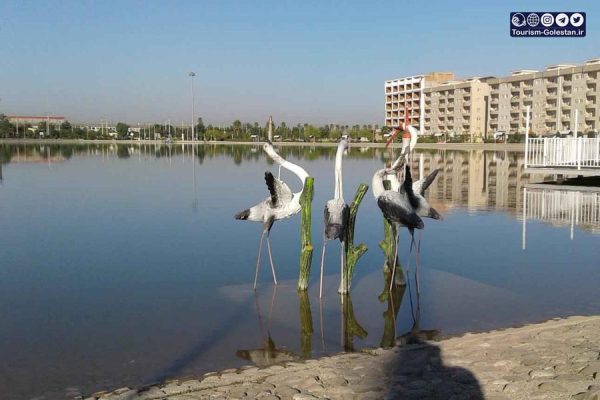دریاچه مصنوعی گنبد کاووس