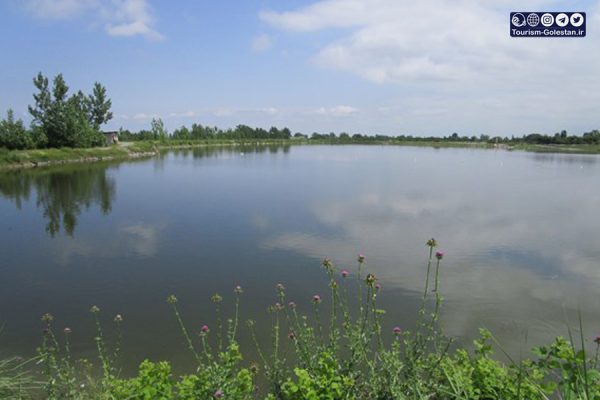 jafakande تالاب و آببندان جفاکنده