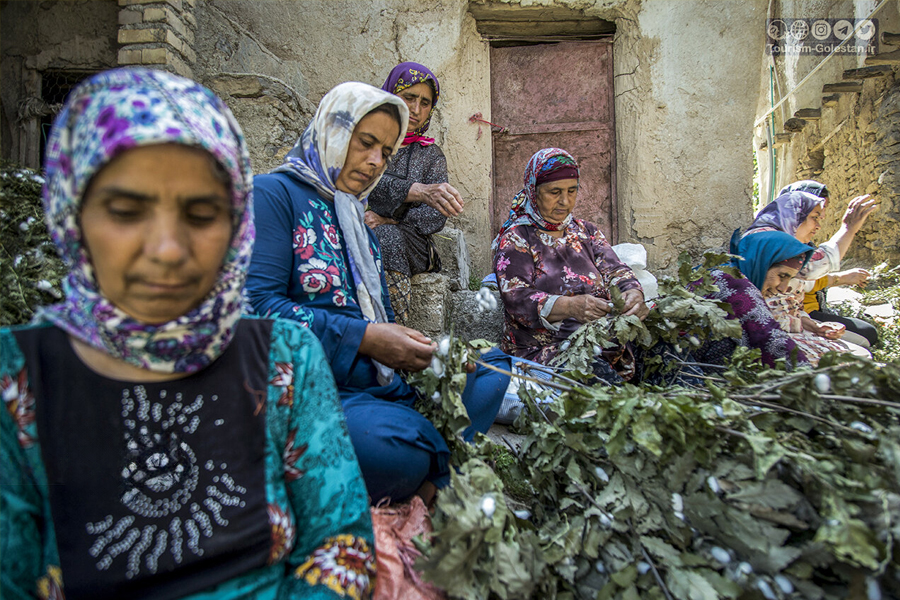 «لیلا چوبداری» بانوی کارآفرین اهل شهرستان گالیکش استان گلستان