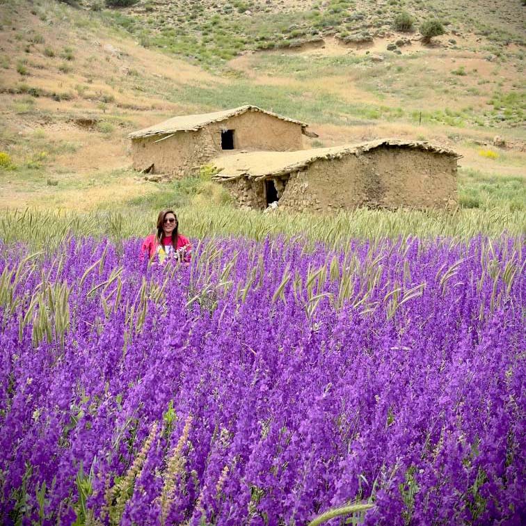 سرعلی آباد