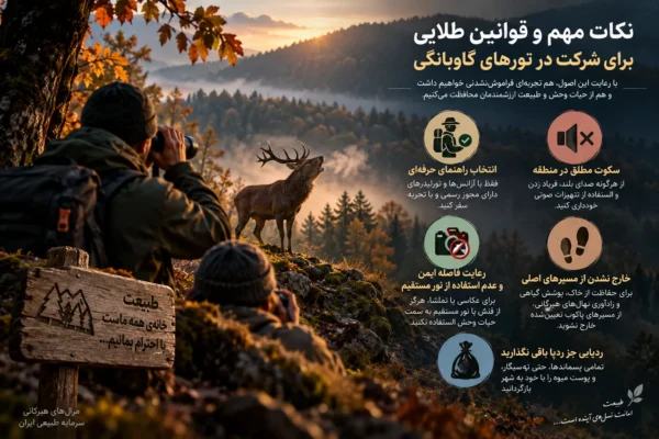 گاو بانگی